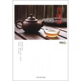 茶风系列：选好壶 泡好茶