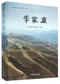 秦始皇帝陵园考古报告(2001-2003)