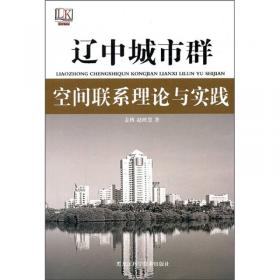 辽中南城市群产业集聚模式与效应研究