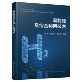 氢能利用关键技术系列--制氢工艺与技术
