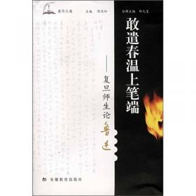 汉语别史：中国新文学的语言问题（增订本）