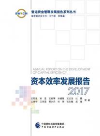 财务风险发展报告2017
