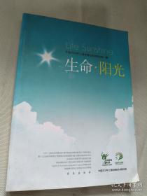 世界城市日活动成果精粹