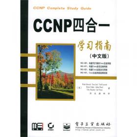 CCNP四合一学习指南（中文版）