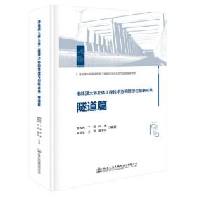 港珠澳大桥施工技术指南第六分册：钢混组合箱梁制造及安装（T/CHTS10017—2019）