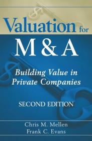 Valuation for Mergers, Buyouts, and Restructuring (Wiley Finance)