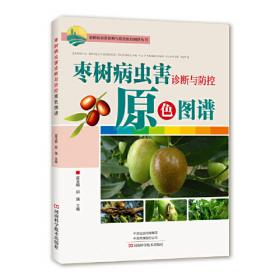 枣树实用丰产栽培技术
