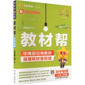 教材三级讲解.九年级语文.下（江苏教育版）——网式教辅