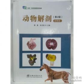 二手车鉴定与评估
