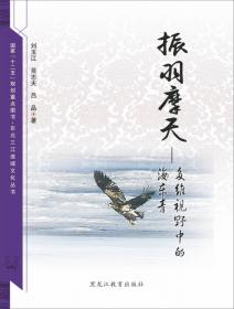 【东北三江流域文化丛书】火山明珠：五大连池的魅力文化