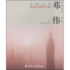 中国文化系列丛书：中国文化·工艺（中）