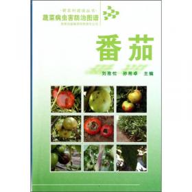 蔬菜病虫害防治图谱：辣椒