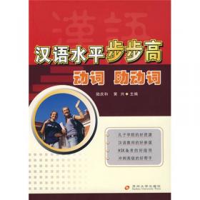 实用对外汉语教学语法