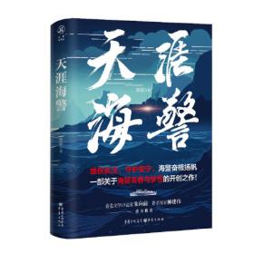 天涯双探2：暴雪荒村（带您破解大宋300年悬案史上从未公开的民间奇案）