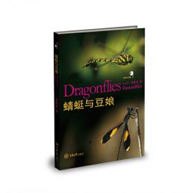 蜻蜓写作：精选小学生作文名家点评