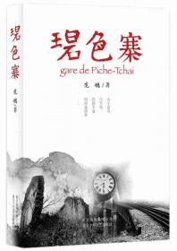 朝内166人文文库·中国当代长篇小说：水乳大地