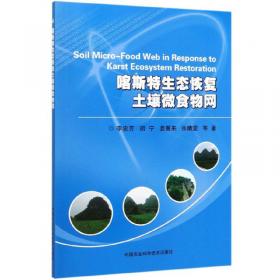 喀斯特生态文明研究（第2辑）：中国西南喀斯特地区反贫困国际研讨会论文集