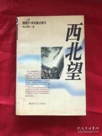 蒋介石画传