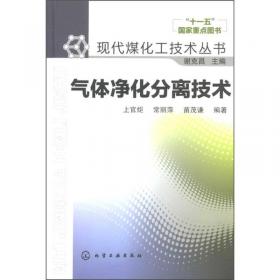 现代煤化工技术丛书：煤基多联产系统技术及工艺过程分析
