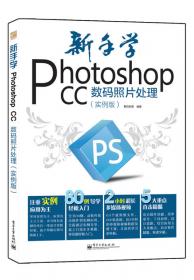 PhotoshopCS2影像处理完全攻略(含盘)