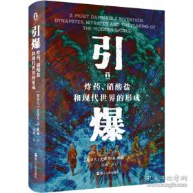 引爆：炸、硝酸盐和现代世界的形成