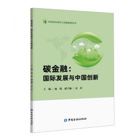 碳金融研究：国际经验与中国实践
