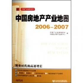 中国IT产业地图2006-2007