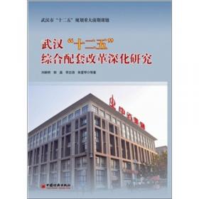 武汉城市圈区域经济一体化的机制创新研究