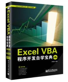 Excel 2010 VBA编程与实践