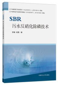 SBR法污水生物脱氮除磷及过程控制