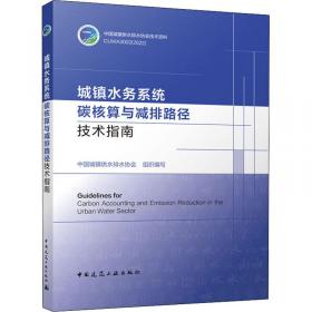 中国城镇水务行业发展报告（2019）