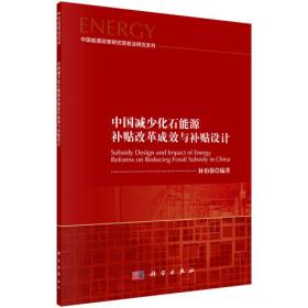 中国能源发展报告2020