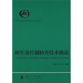 中国工程物理研究院科技丛书：高功率超宽带电磁脉冲技术