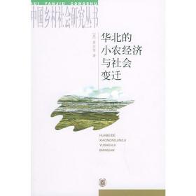 中国的新型非正规经济：实践与理论（实践社会科学与中国研究·卷三）