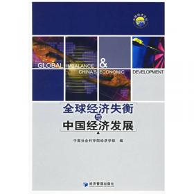 中国经济研究报告（2006-2007）
