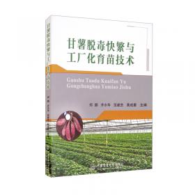 甘薯品种与良种繁育手册/中国甘薯生产指南系列丛书