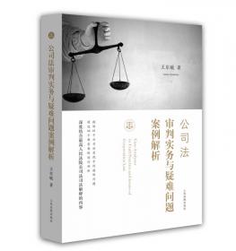 公司法审判实务与疑难问题案例解析（第二版）