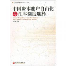 中专中职最新财会系列教材：中国外汇市场与资本项目可兑换的协调发展