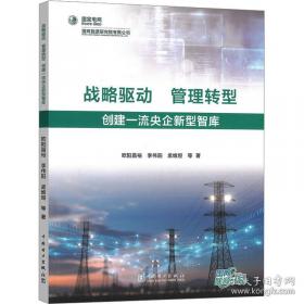 电力企业利用外资