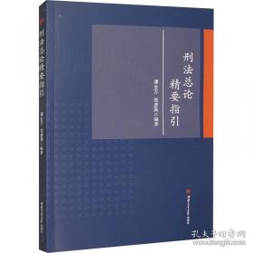 刑法新释与例解