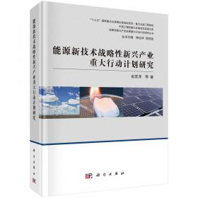 中国工程院重大咨询项目成果文库：“十三五”能源新技术产业培育与发展规划研究
