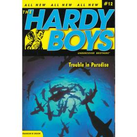 Hardy Boys #15 Death and Diamonds 哈迪男孩15：生死钻石 