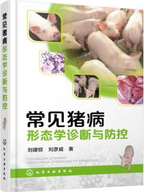 生态高效养殖技术丛书：肉鸡生态高效养殖实用技术