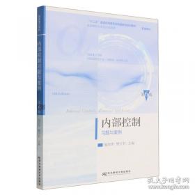 内部审计实务标准