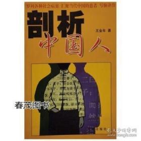 成功者诊疗室:当代中国人心理状态剖析