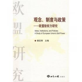 权力·制度·文化 国际关系理论与方法研究文集(第二版)