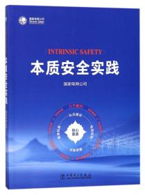 本质安全管理实务——基于能量运动的本质安全原理与应用