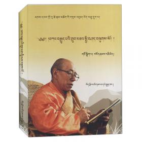 藏传佛教寺院文化研究/佛教文化对话丛书