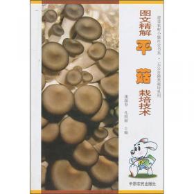 杏鲍菇高效栽培技术——新世纪富民工程丛书·食用菌类栽培书系