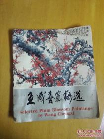 王成太极（下卷）